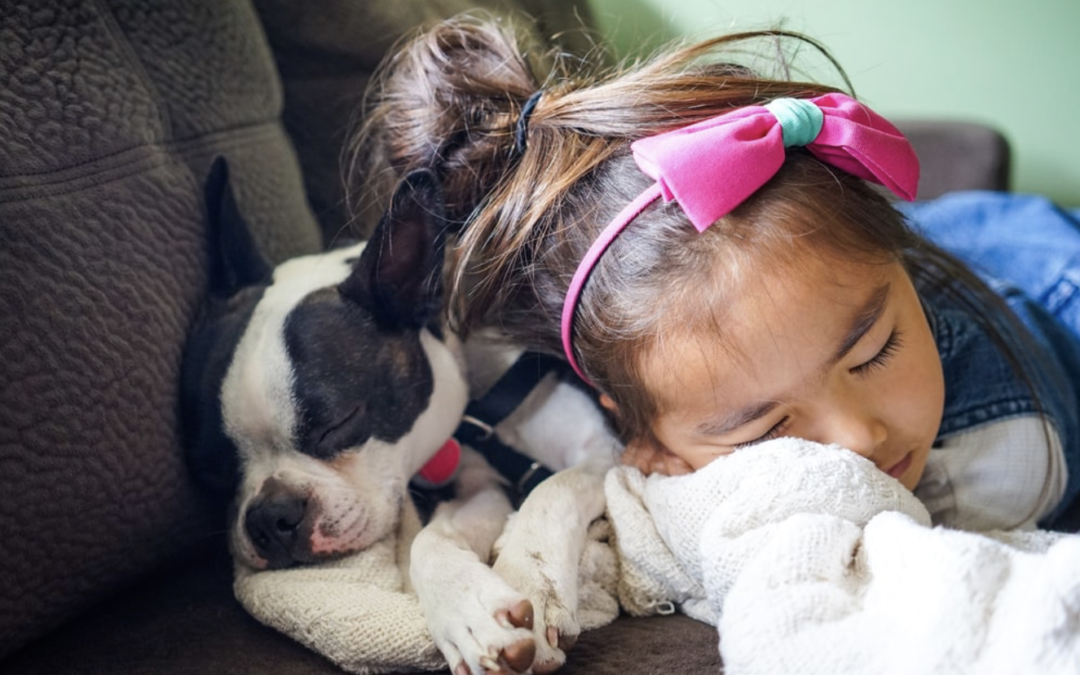 Benefits of children interacting and caring for animals