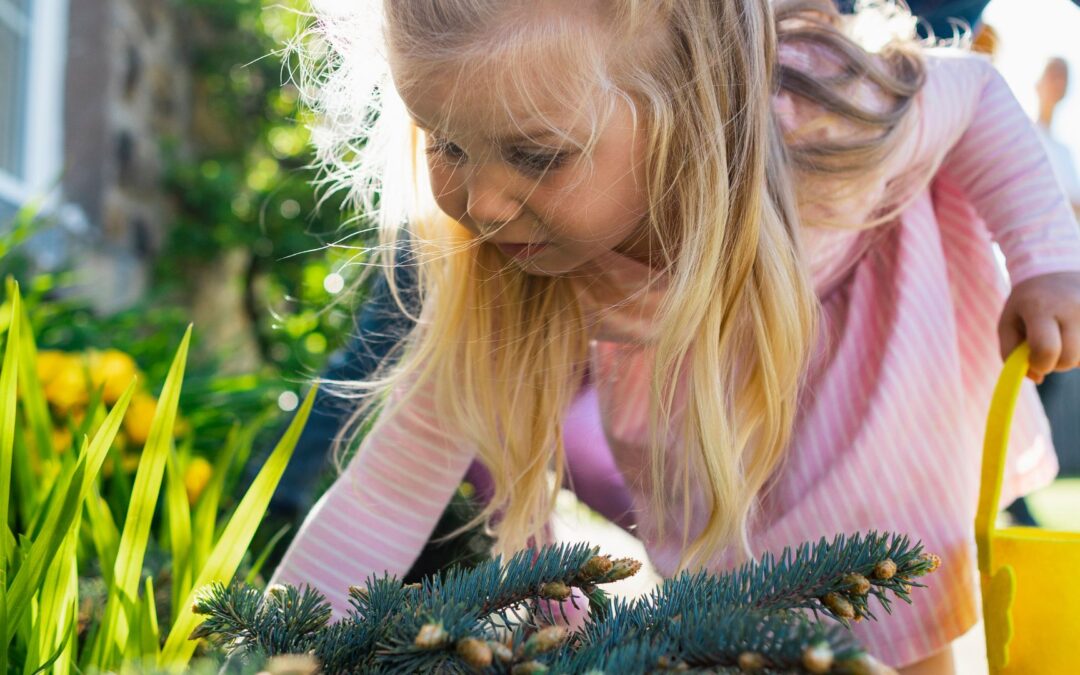 Kenmore Hills Early Learning