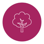Sustainable Practices at Kenmore Hills Early Learning